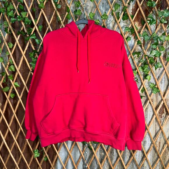 Vintage Y2K south Pole embroider 2000s hip hop heavy hoodie - Picture 1 of 4